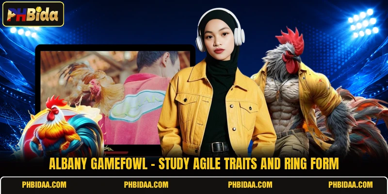 Albany Gamefowl - Study Agile Traits And Ring Form